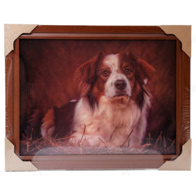 Картина 5D DS835/1 №1 "Собака на сене"