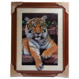 Картина 5D DS835/108 №108 36*46 "Тигр"