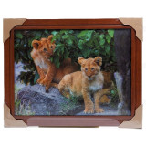 Картина 5D DS835/118 №118 36*46 "Львята"