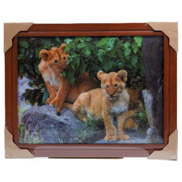 Картина 5D DS835/118 №118 36*46 "Львята"