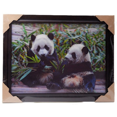 Картина 5D DS835/12 №12 "2 панды"