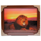 Картина 5D DS835/121 №121 36*46 "Лев 2"