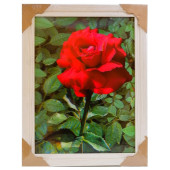 Картина 5D DS835/124 №124 36*46 "Алая роза"