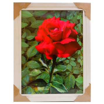 Картина 5D DS835/124 №124 36*46 "Алая роза"