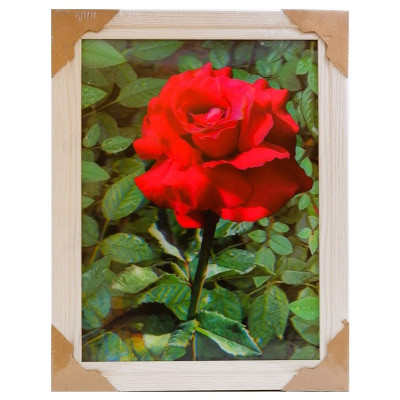 Картина 5D DS835/124 №124 36*46 "Алая роза"