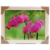 Картина 5D DS835/135 №135 36*46 "Орхидея"