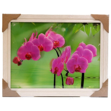 Картина 5D DS835/135 №135 36*46 "Орхидея"