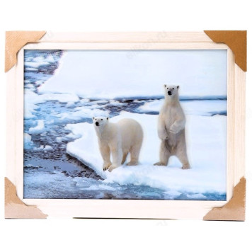 Картина 5D DS835/145 №145 36*46 "Белые медведи"