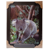 Картина 5D DS835/148 №148 36*46 "Коала"