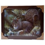 Картина 5D DS835/150 №150 36*46 "Белка"