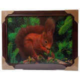 Картина 5D DS835/151 №151 36*46 "Белка"