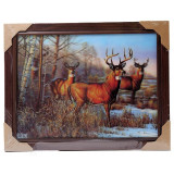 Картина 5D DS835/152 №152 36*46 "Олени"