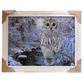 Картина 5D DS835/156 №156 36*46 "Белая сова"