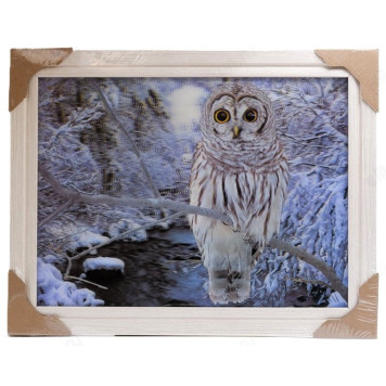 Картина 5D DS835/156 №156 36*46 "Белая сова"