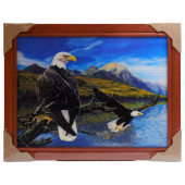 Картина 5D DS835/157 №157 36*46 "Два орлана"