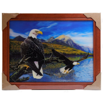 Картина 5D DS835/157 №157 36*46 "Два орлана"