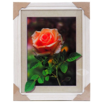 Картина 5D DS835/16 №16 "Роза"