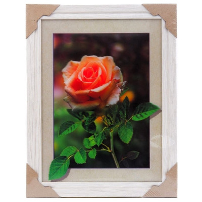 Картина 5D DS835/16 №16 "Роза"