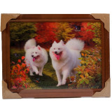 Картина 5D DS835/174 №174 36*46 "Собаки 4"