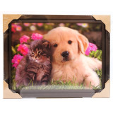 Картина 5D DS835/176 №176 36*46 "Щенок и котенок"