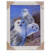 Картина 5D DS835/18 №18 "Белые совы"