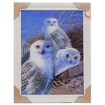 Картина 5D DS835/18 №18 "Белые совы"