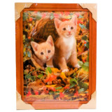 Картина 5D DS835/186 №186 36*46 "Два котенка"