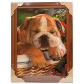 Картина 5D DS835/189 №189 36*46 "Спящий песик"