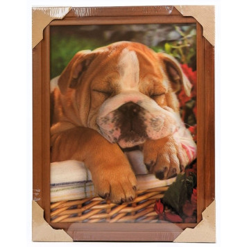 Картина 5D DS835/189 №189 36*46 "Спящий песик"