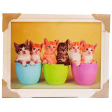 Картина 5D DS835/190 №190 36*46 "Котята в горшочках"