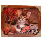 Картина 5D DS835/192 №192 36*46 "Котенок в корзине"