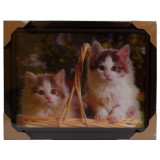 Картина 5D DS835/195 №195 36*46 "Котята в корзине 2"