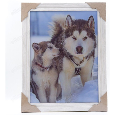 Картина 5D DS835/29 №29 " Маламуты" 