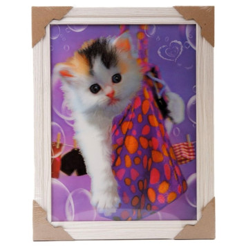 Картина 5D DS835/33 №33 "Кот в мешке"