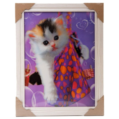 Картина 5D DS835/33 №33 "Кот в мешке"