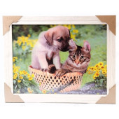 Картина 5D DS835/35 №35 "Кот и щенок в корзине"