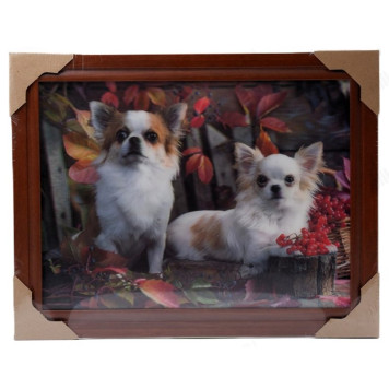 Картина 5D DS835/36 №36 "2 собачки"-1