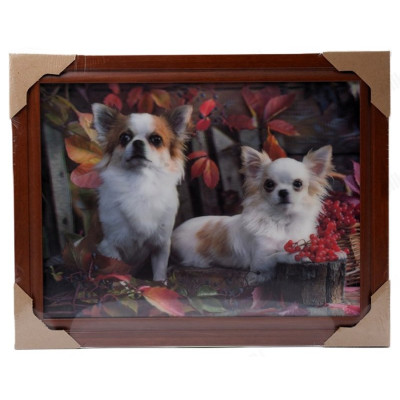 Картина 5D DS835/36 №36 "2 собачки"-1