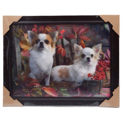 Картина 5D DS835/36 №36 "2 собачки"