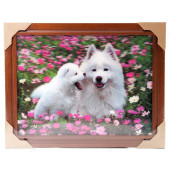 Картина 5D DS835/41 №41 "Белый пес и щенок"