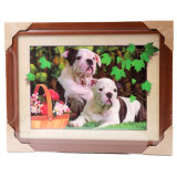 Картина 5D DS835/42 №42 "2 барбоса"