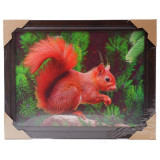 Картина 5D DS835/53 №53 "Белка"