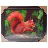 Картина 5D DS835/53 №53 "Белка"