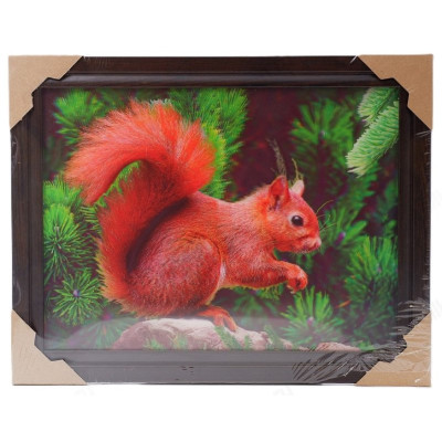 Картина 5D DS835/53 №53 "Белка"