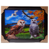 Картина 5D DS835/55 №55 "3 совы"