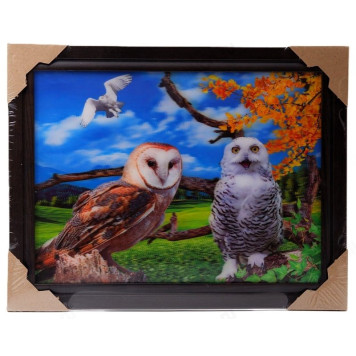 Картина 5D DS835/55 №55 "3 совы"