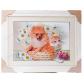 Картина 5D DS835/6 №6 "Кот и собака в корзине"