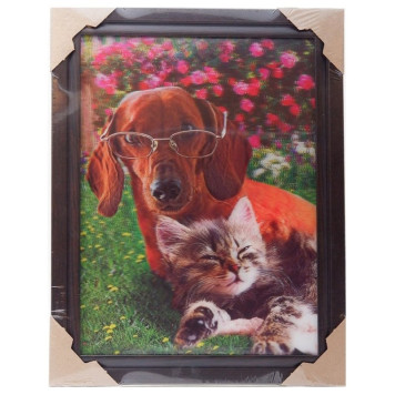 Картина 5D DS835/8 №8 "Пес в очках и котенок"