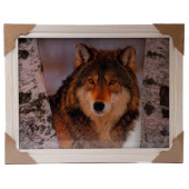 Картина 5D DS835/89 №89 36*46 "Волк в березах"