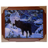 Картина 5D DS835/96 №96 36*46 "Волки в елках"